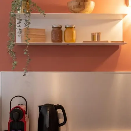 Vieux -nice Neat And Fully Equipped ! Apartamento *