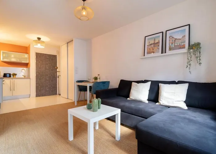 Apartment Vieux -nice Neat And Fully Equipped ! Lille