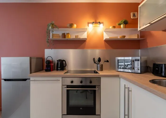 Apartment Vieux -nice Neat And Fully Equipped ! Lille